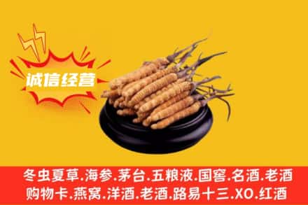承德回收冬虫夏草